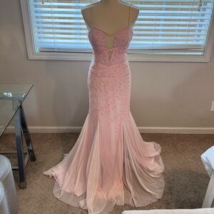 Baby Pink Vintage Gown